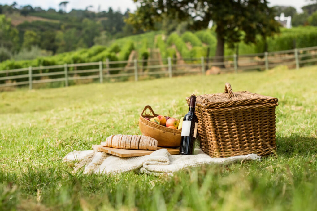 picnic at park 1