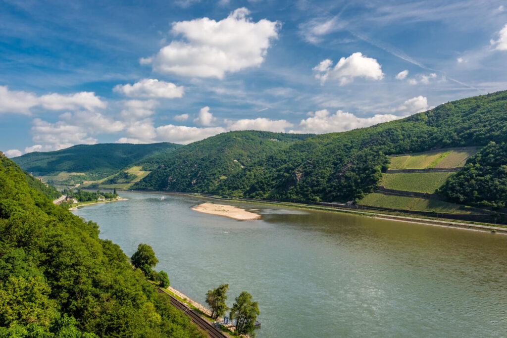 vineyards at rhine valley in germany 1