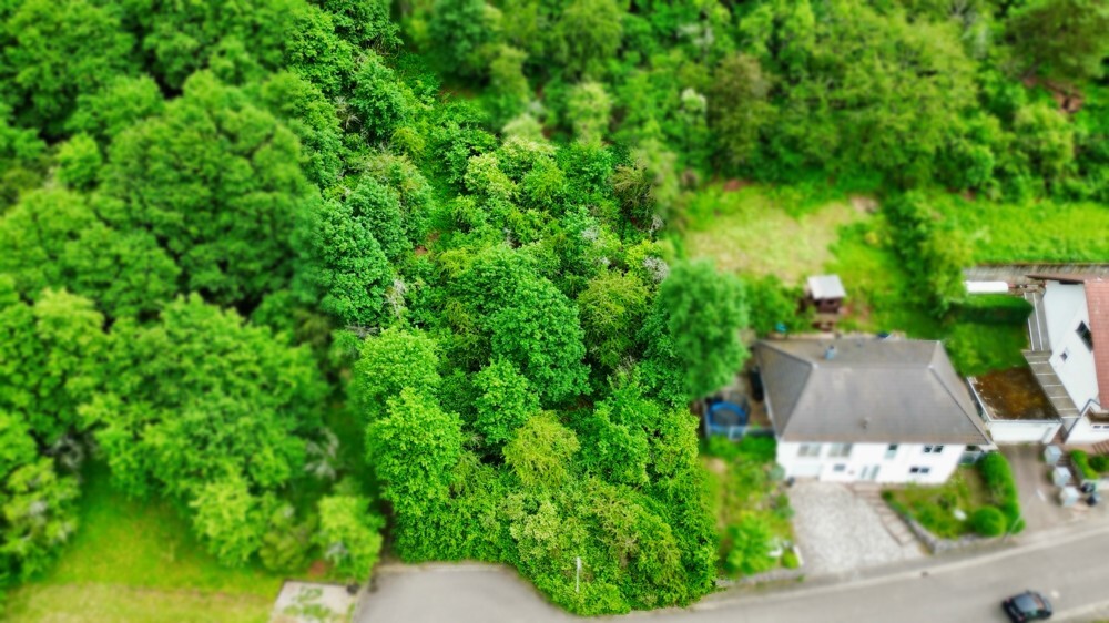 Toll gelegenes Grundstück mit 804 m² und Waldrandlage in Waldhambach