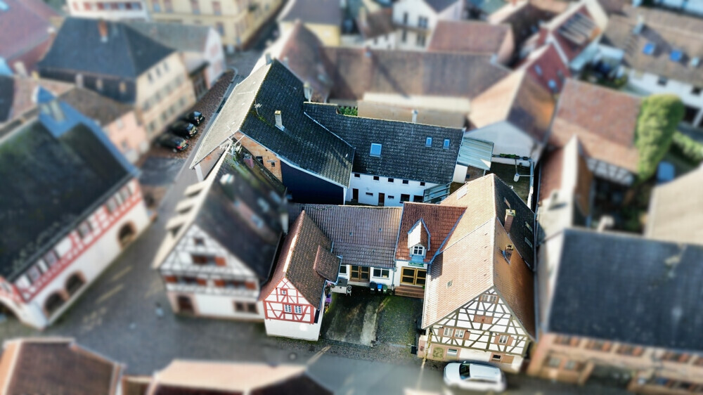 Vielseitiges Anwesen mit 5 Einheiten, Innenhof & ehemaliger Gewerbeeinheit in Ilbesheim